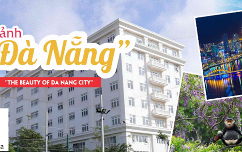 Bài dự thi Nét đẹp Đà Nẵng - Chủ đề: “Đà Nẵng thiên nhiên và cuộc sống”
